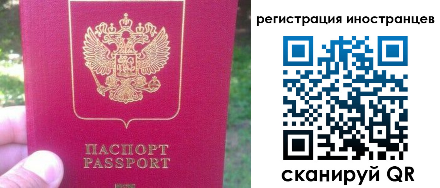 временная регистрация законно в Сольцах